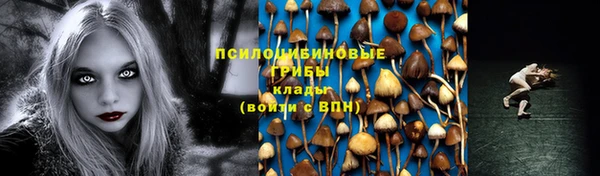 прущий лед Переславль-Залесский